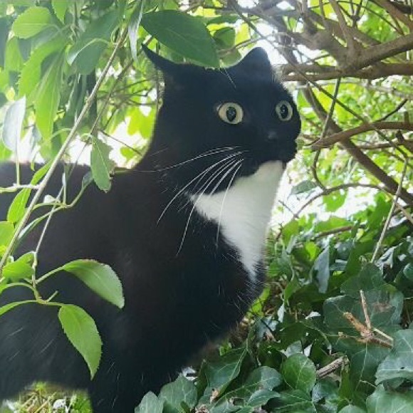 Meet your Posher, Diane - Picture 1 of 1